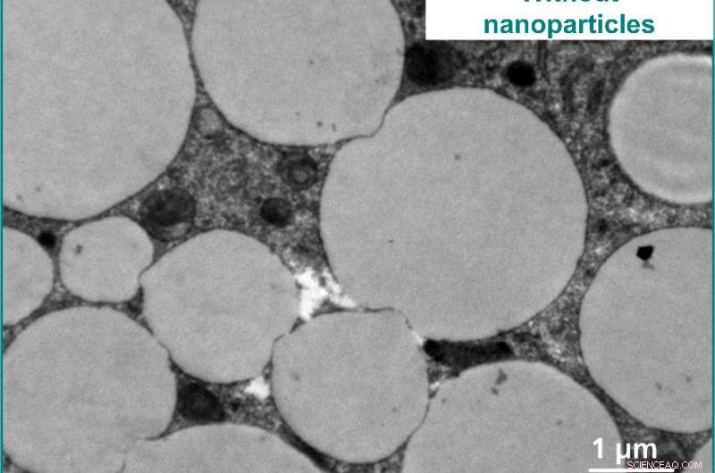 Precise Detection of Trace Nanoparticles in Environmental Samples