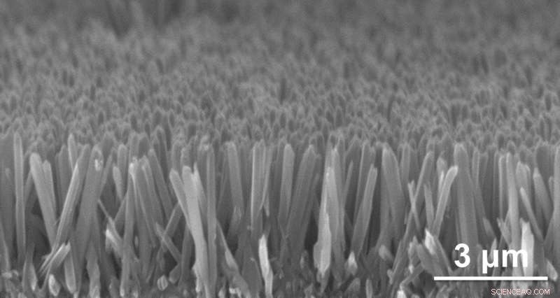 Revolutionizing Personal Cooling: Nanowire-Based Electrocaloric Fabrics Set to Transform Heat Management