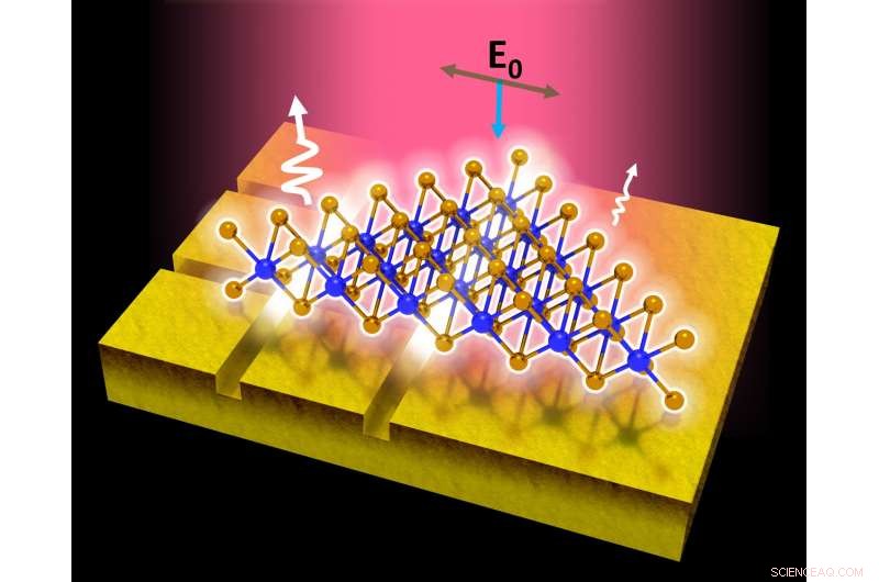 Scientists Introduce Breakthrough Method to Boost Photoluminescence in 2‑D Semiconductors