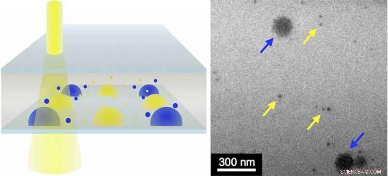 UC San Diego s Novel Tool Lets Scientists Visualize Nanoscale Processes in Real Time