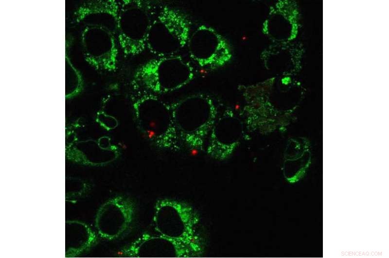 Laser-Powered Nanoblade Enables Precise Cellular Surgery for Advanced Research