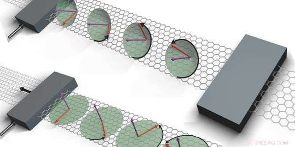 Graphene Spin Lifetime Anisotropy Significantly Lower Than Earlier Reports