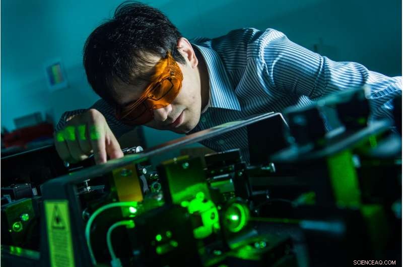 Rice University Discovers Tunable Submicroscopic Optical Amplifier