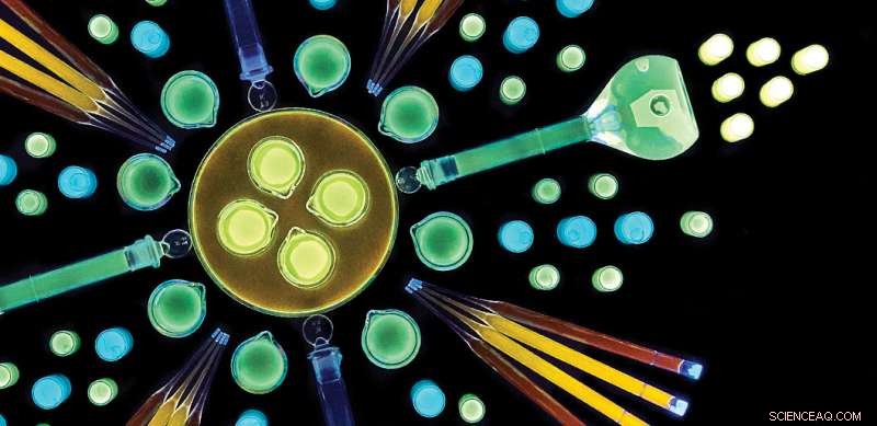 Revolutionary Single-Enzyme Technique Unveiled for Efficient Quantum Dot Production