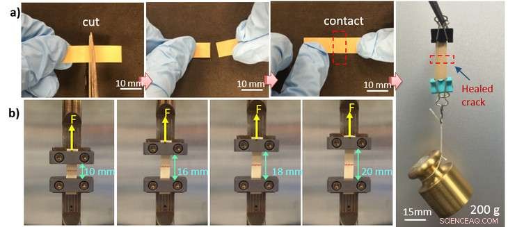 Break‑Proof Flexible Electronics: Self‑Healing Material Restores Function After Multiple Cuts
