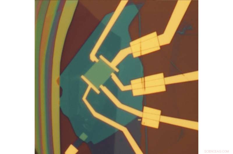 Scientists Harness Graphene Tiger to Boost Optoelectronic Efficiency