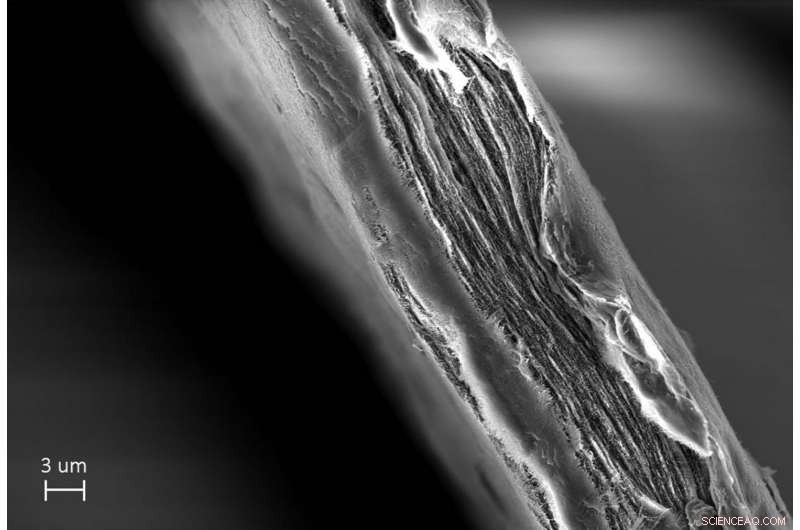 Cellulose Nanofiber Mille‑Feuille Filter Effectively Eliminates Viruses from Water