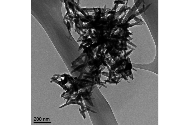 Nanoparticles in Baby Formula: What Parents Need to Know