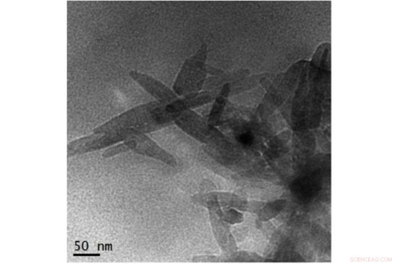 Nanoparticles in Baby Formula: What Parents Need to Know