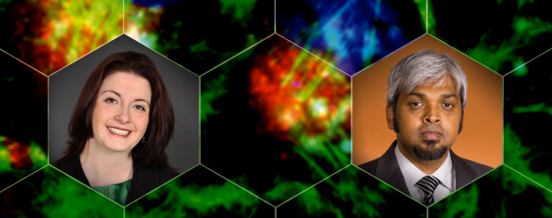 Carbon Nanotubes: A Cutting-Edge Platform for Targeted Drug Delivery