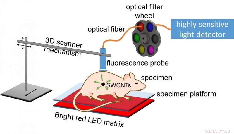 Carbon Nanotubes Enable Precise Tumor Imaging via LED Array Detection