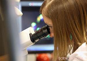 Tiny Nanoparticle Packages Offer Promising Brain Tumor Treatment