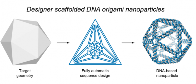 Revolutionizing DNA Origami: Top-Down Design Enables Complex Nanostructures