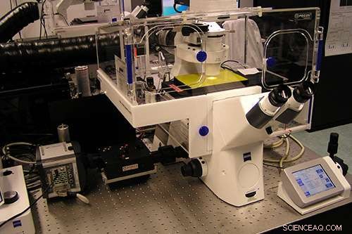 UK Researchers Unveil Laser-Based Technique to Visualize Designer Nanomaterials