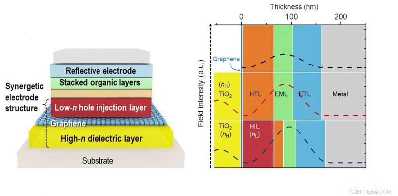Highly Efficient Flexible OLEDs Powered by Graphene-Based Transparent Electrodes