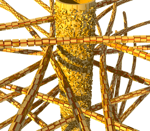 Dentin Nanostructures: Nature’s Masterpiece in Tooth Integrity