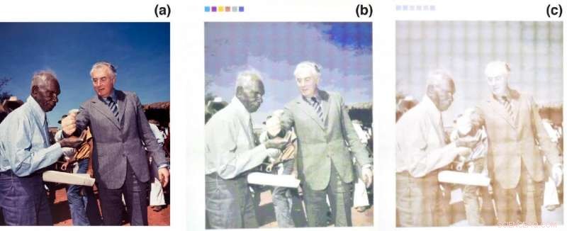 Plasmonic Pixels Pave the Way for Durable, Non‑Fading Paint