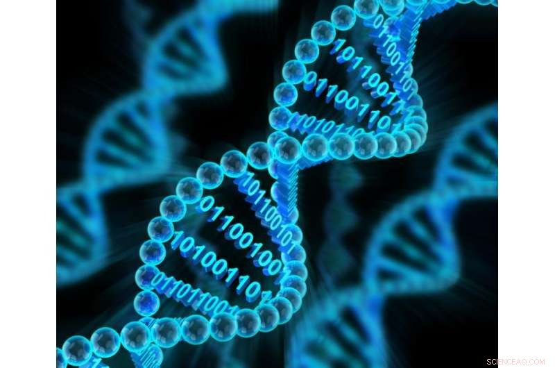 From Living Computers to Nano‑Robots: Expanding DNA Beyond Genetics