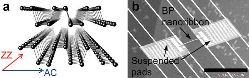 Revolutionizing Heat Dissipation with Black Phosphorus Semiconductors