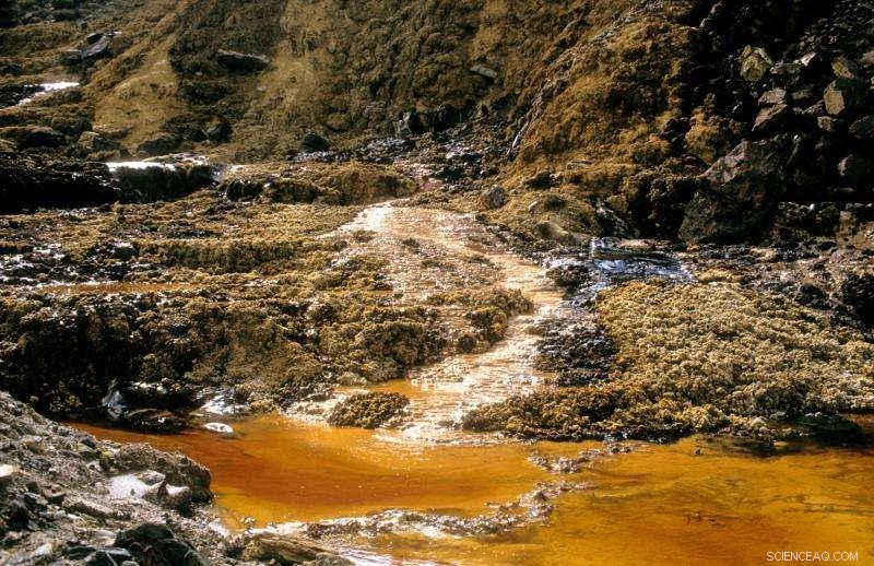 Researchers Pioneer Nanoparticle‑Enhanced Bioremediation for Effective Soil Decontamination