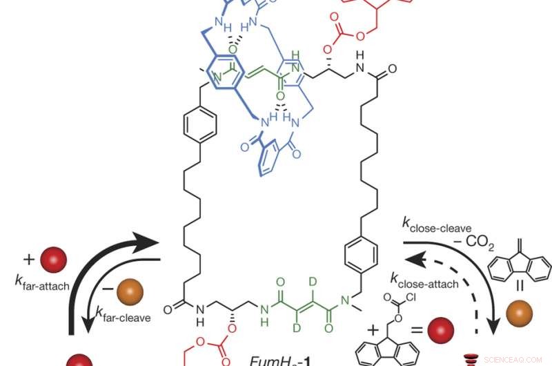 Chemically Powered Autonomous Molecular Nanomotor: Manchester Team s Breakthrough