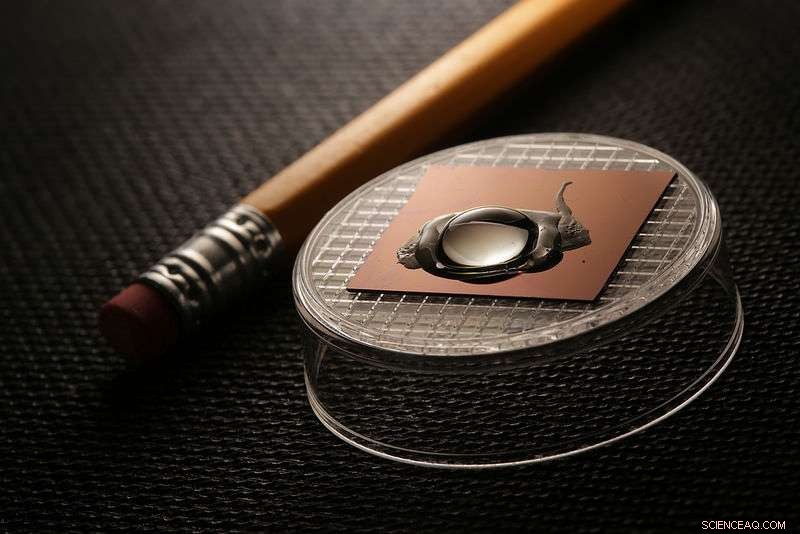 UC San Diego Engineers Unveil Graphene-Based Biosensor for Rapid DNA Mutation Detection