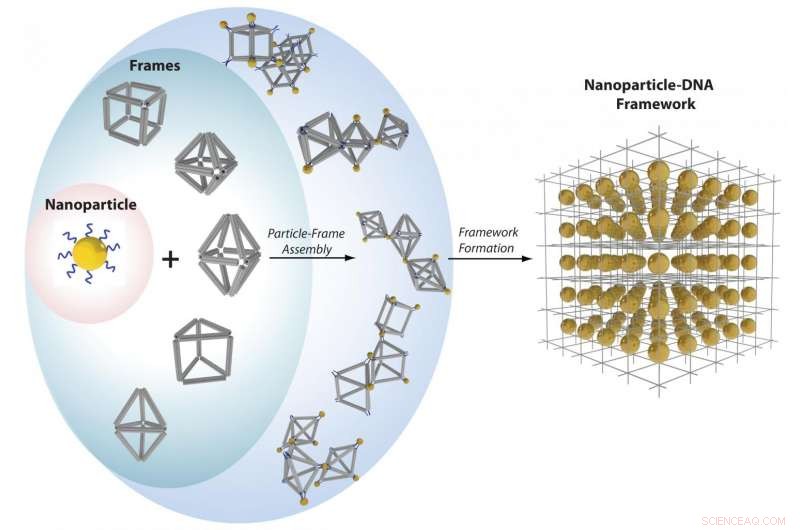 DNA Shapes the Ideal Framework for Rational Design of Nanostructures