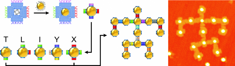 DNA Shapes the Ideal Framework for Rational Design of Nanostructures
