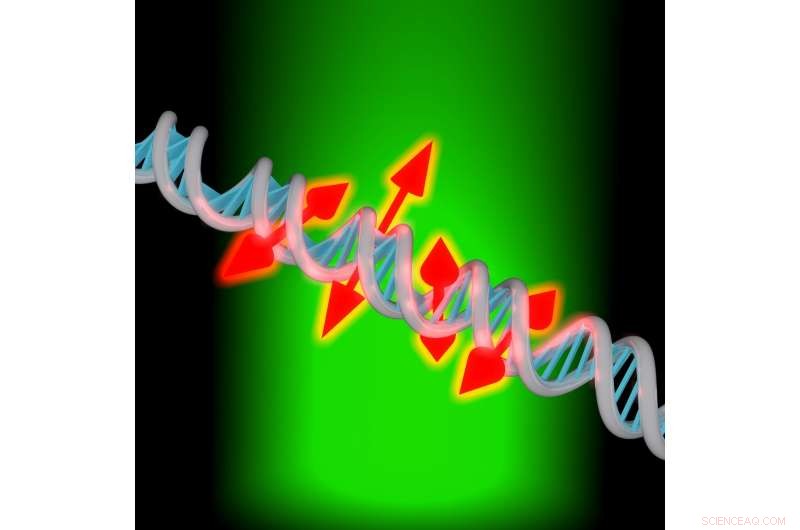 Revolutionary Imaging Technique Unveils Nanoscale DNA Details
