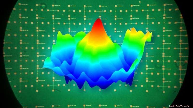 Experimental Evidence Unveils the Inner Workings of Memristors