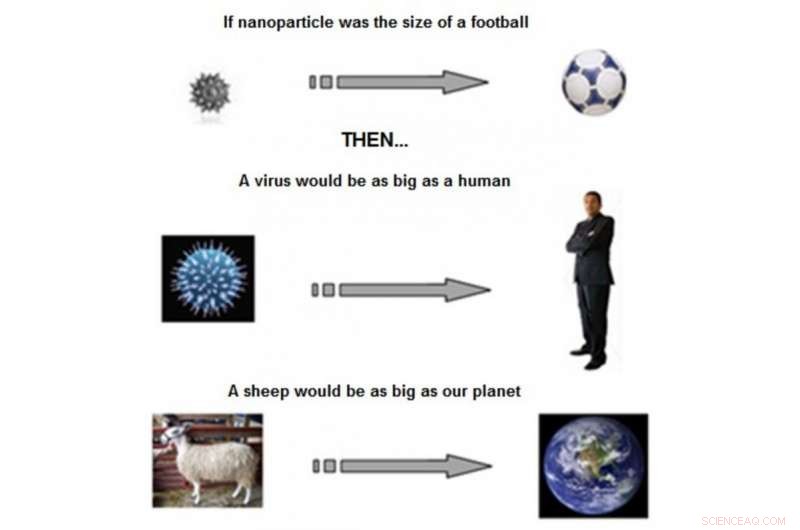 Nanotechnology: Enhancing Food Flavor and Nutrition – Is It Safe?