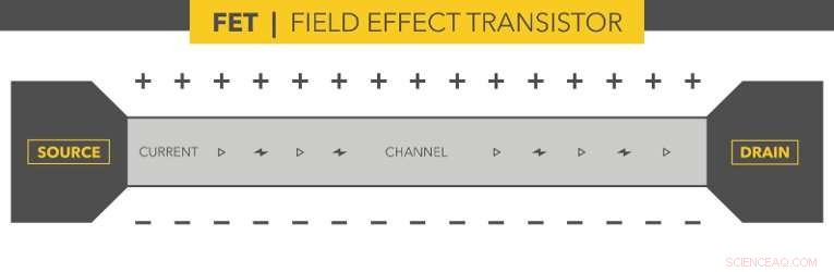 Unveiling Quantum Effects in Nanoscale Transistors: A Path to Next-Gen Electronics