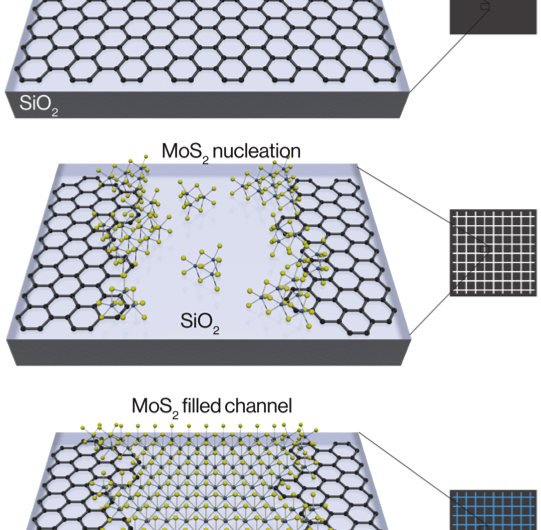Researchers Fabricate Atomically Thin Transistors and Integrated Circuits