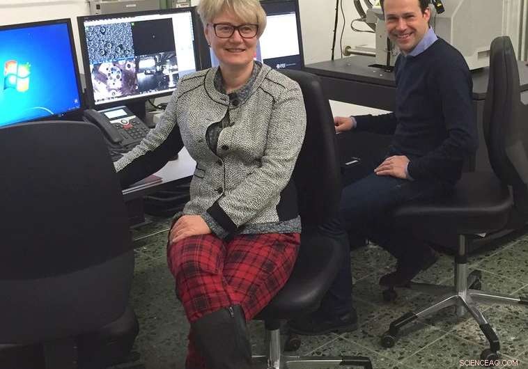 Nano Scalpel Enables Precise Sample Structuring at Nanometre Scale