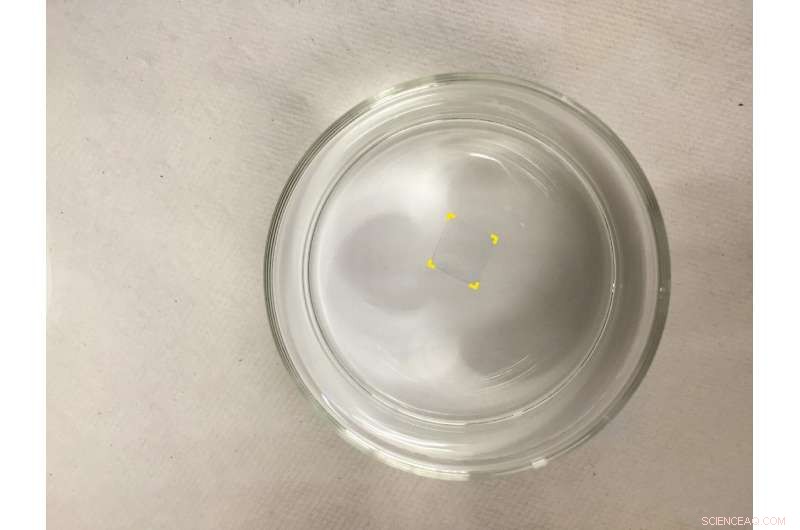 Rivet Graphene: Stronger, More Durable, and Easier to Use for Electronics