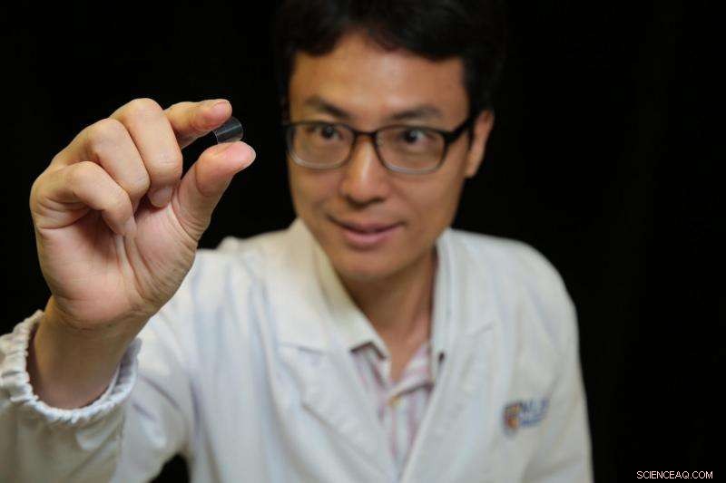 Researchers Embed High‑Performance Magnetic Memory Chip onto Flexible Plastic