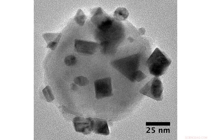 Rice University’s Antenna‑Reactor Catalysts: Merging Light‑Harvesting Nanomaterials with Superior Metal Catalysis