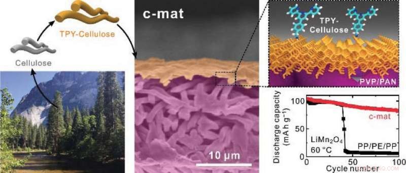 Plant-Derived Cellulose Enhances Battery Safety by Preventing Short Circuits