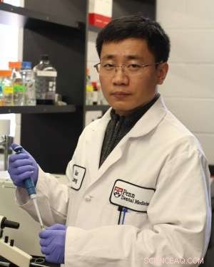 Nanoparticle Breakthrough: Targeting Plaque to Stop Cavities