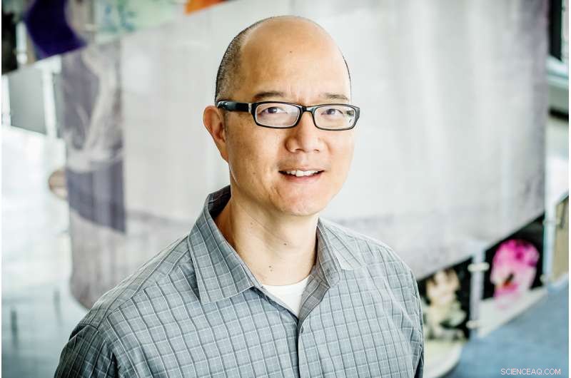 New Nanoparticle Therapy Trial Shows Promise for Treating Dog Osteosarcoma