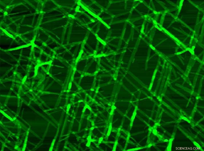 Innovative Method Enables Precise Peptoid Assembly on Solid Surfaces