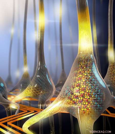 IBM Engineers Replicate Neuron Function Using Phase‑Change Technology