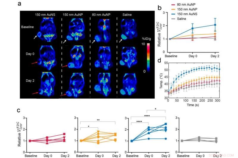 Nanoparticle-Based Photothermal Therapy Offers Gentle and Effective Cancer Treatment