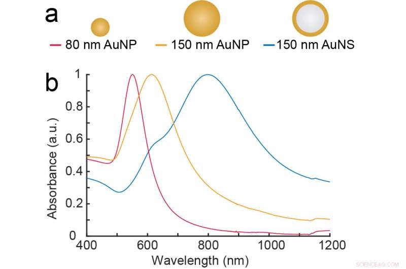 Nanoparticle-Based Photothermal Therapy Offers Gentle and Effective Cancer Treatment
