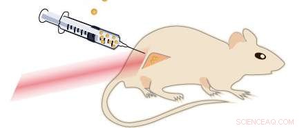Nanoparticle-Based Photothermal Therapy Offers Gentle and Effective Cancer Treatment