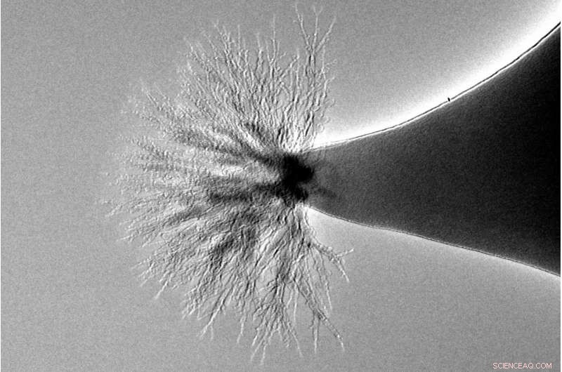 Explore How a Tiny Space Rocket Operates