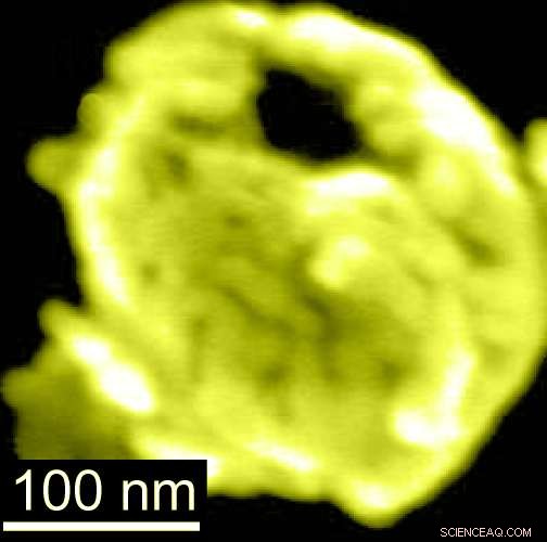 Magnetic Nanobowls Enable Precise Targeted Drug Delivery Inside the Human Body