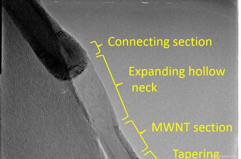 Innovative Carbon Nanoparticle Development for Advanced Applications