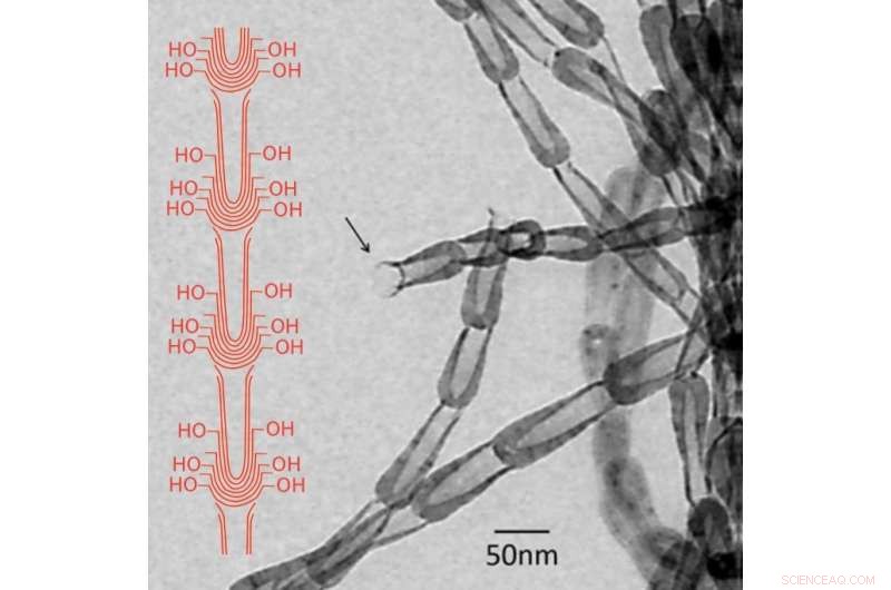 Innovative Carbon Nanoparticle Development for Advanced Applications