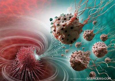 Nanorobot Swarms Precisely Target Cancer Tumors